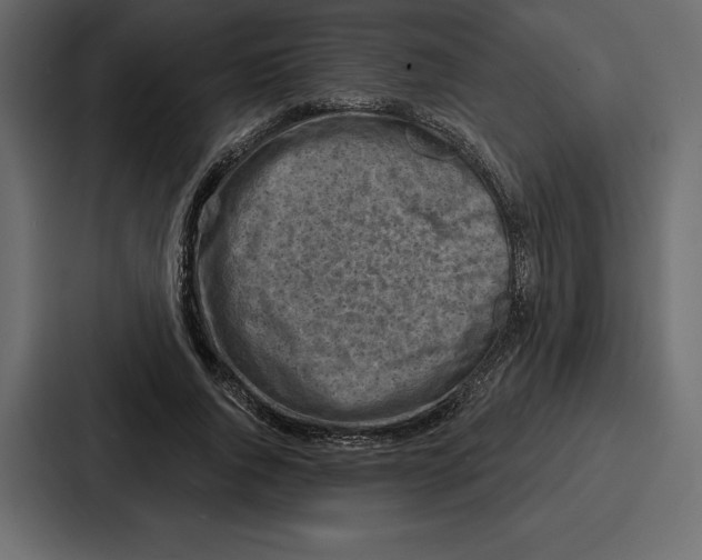 X0000086800736200705111835
