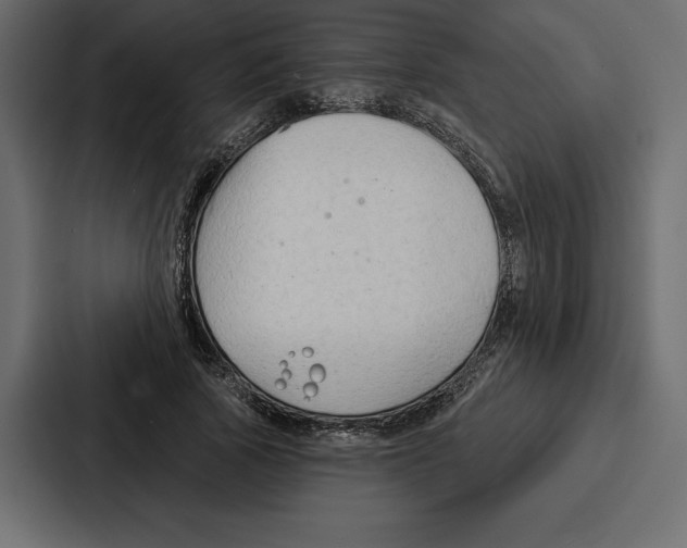 X0000086800737200705111835