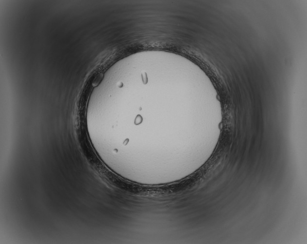X0000086800738200705111835