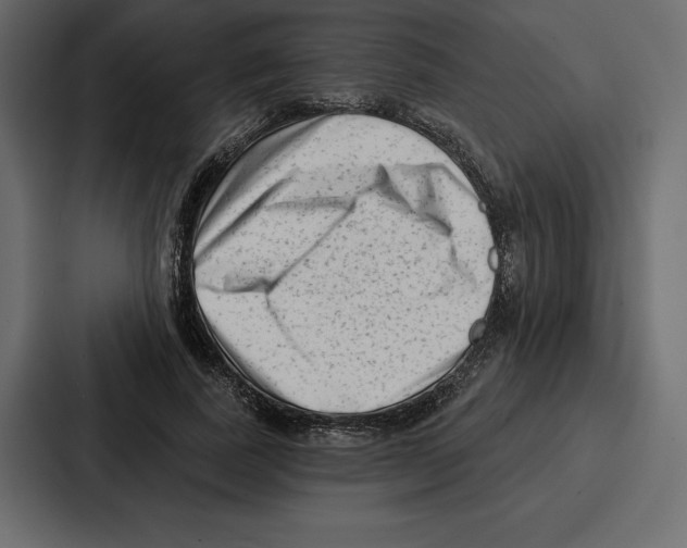 X0000086800739200705111835