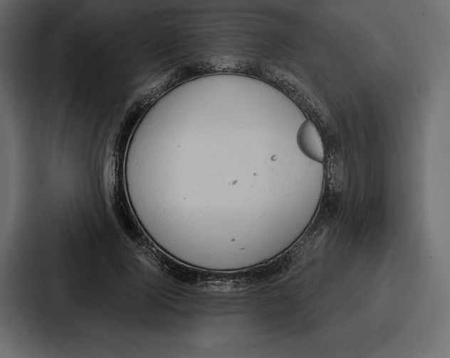 X0000086800740200705111835