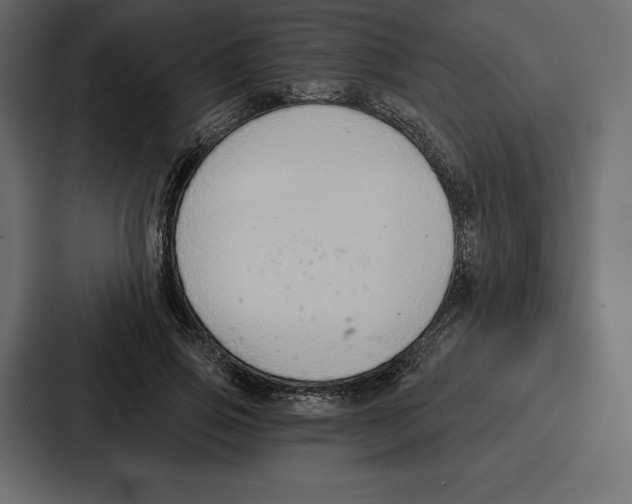 X0000086800741200705111835