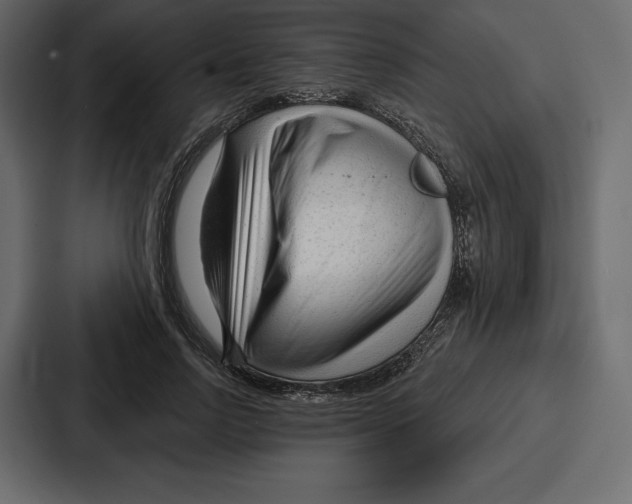 X0000086800742200705111835