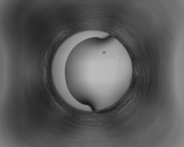 X0000086800744200705111835