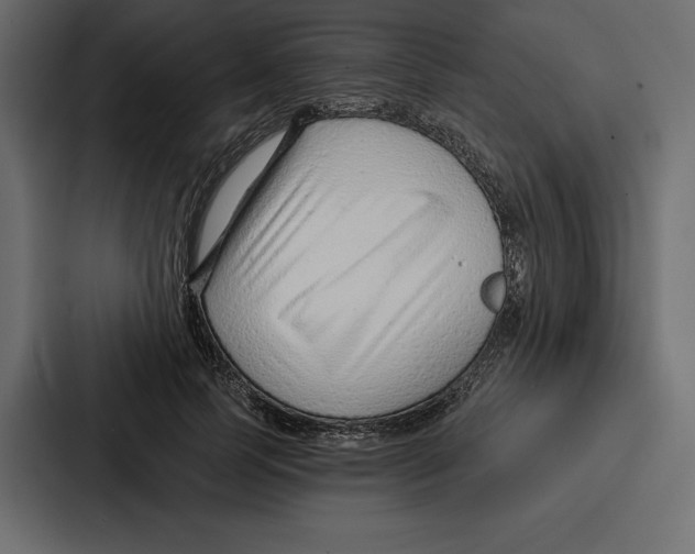 X0000086800745200705111835