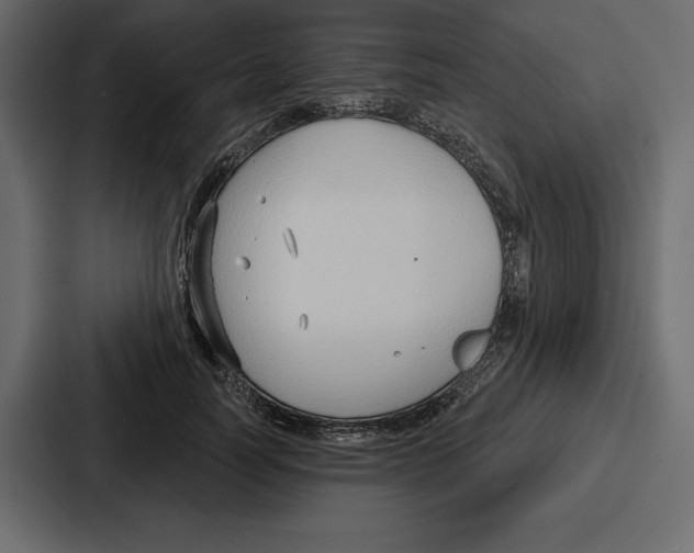 X0000086800746200705111835