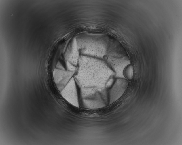 X0000086800747200705111835