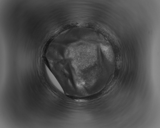 X0000086800748200705111835