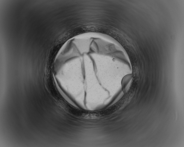 X0000086800751200705111835