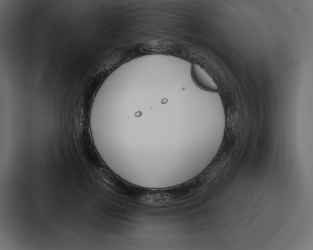 X0000086800752200705111835