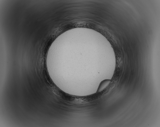 X0000086800753200705111835