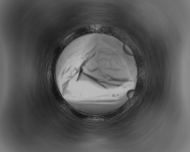 X0000086800754200705111835