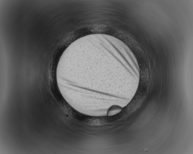 X0000086800755200705111835