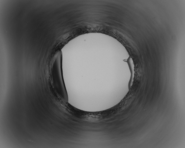 X0000086800756200705111835