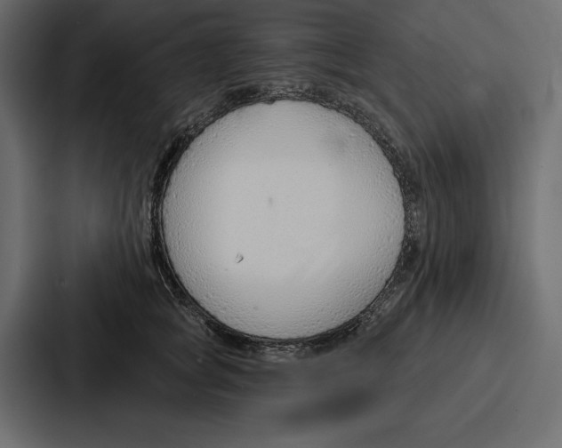 X0000086800757200705111835