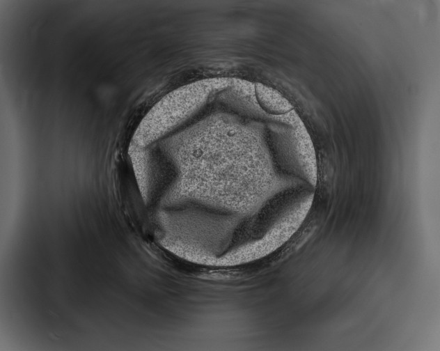 X0000086800758200705111835