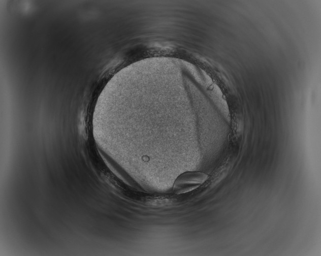 X0000086800759200705111835