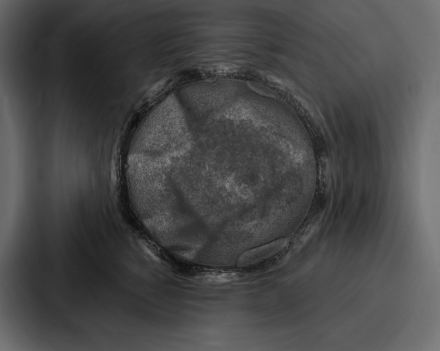 X0000086800760200705111835