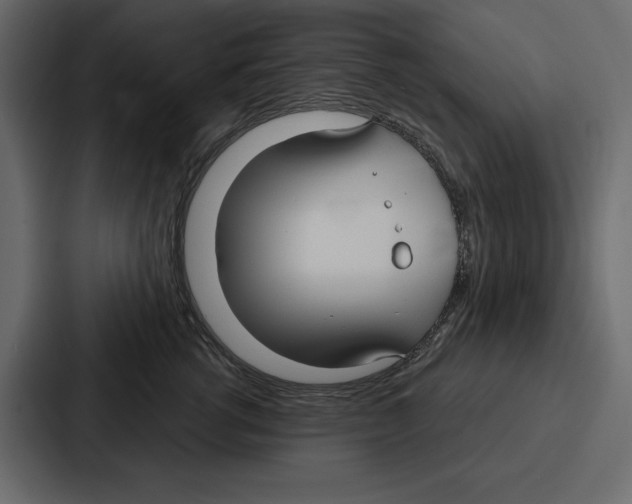 X0000086800762200705111835