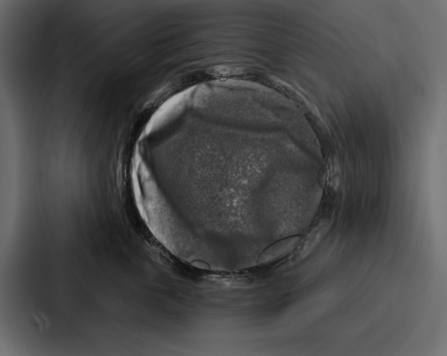 X0000086800763200705111835