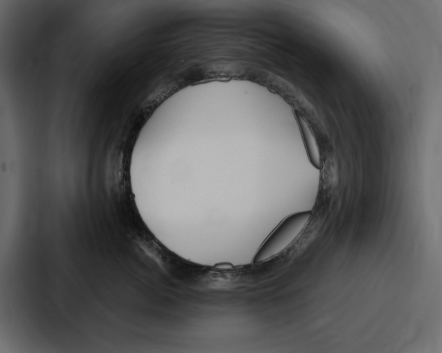 X0000086800764200705111835
