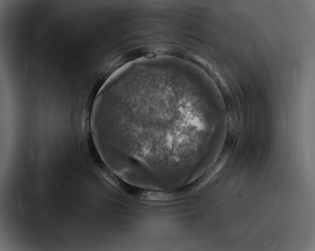 X0000086800766200705111835