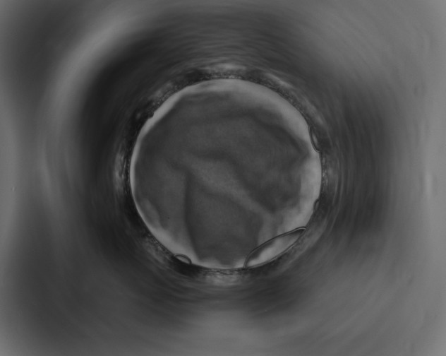 X0000086800767200705111835