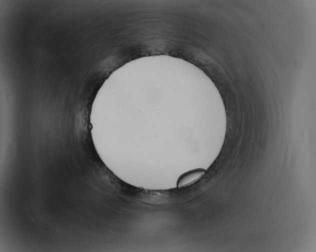 X0000086800768200705111835