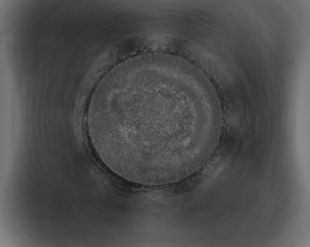 X0000086800769200705111835