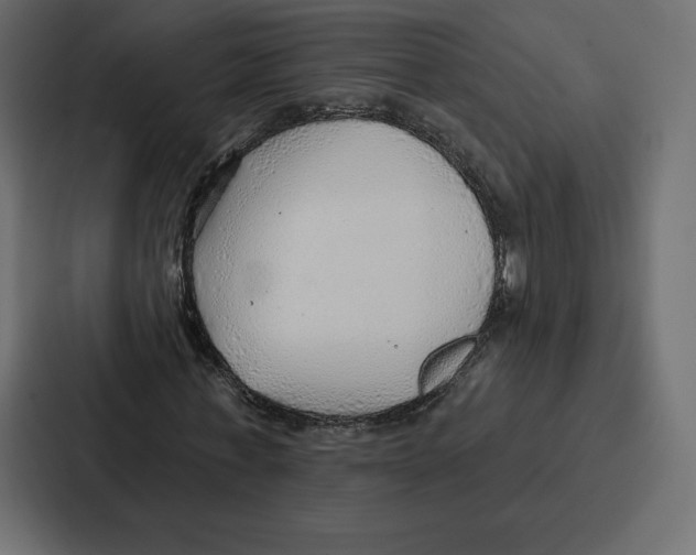 X0000086800771200705111834