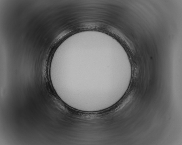 X0000086800778200705111834