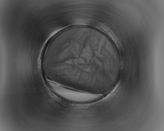 X0000086800779200705111834