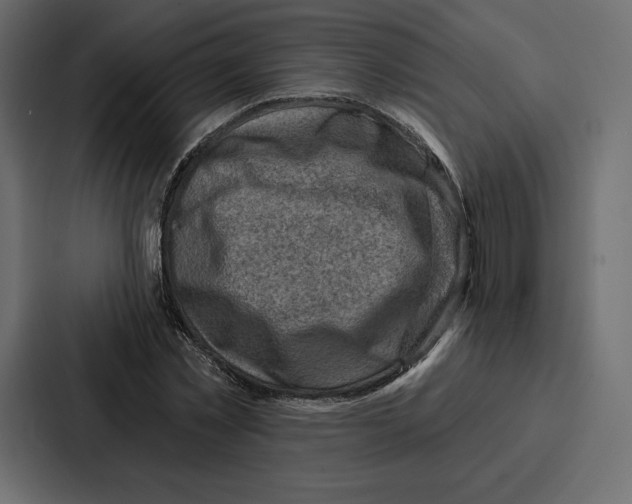 X0000086800781200705111834