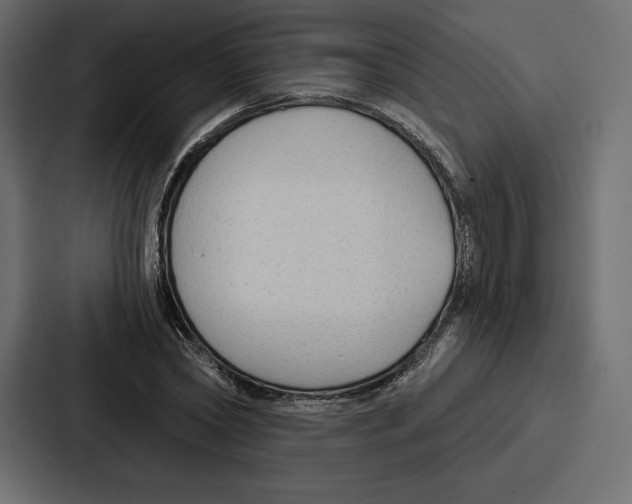 X0000086800782200705111834