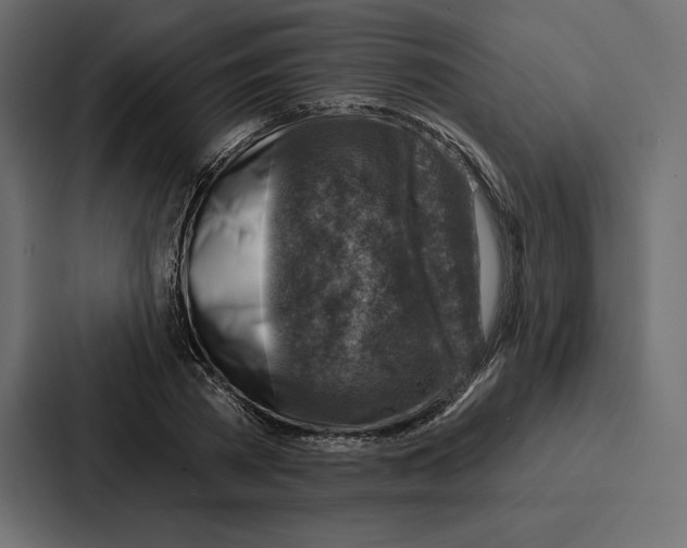 X0000086800785200705111834