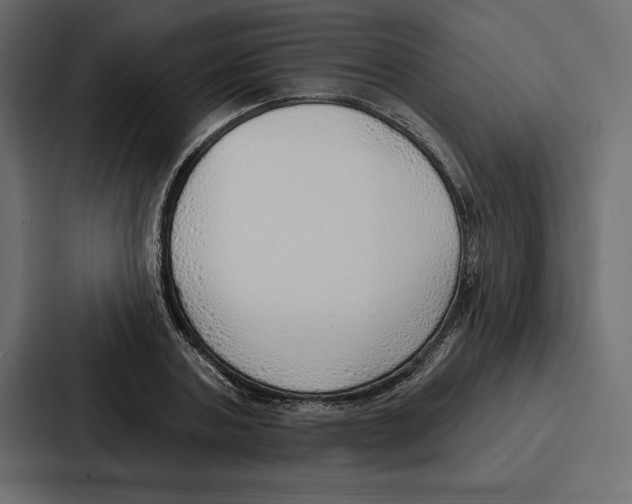 X0000086800787200705111834