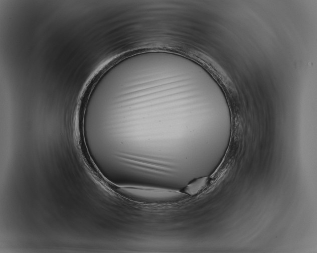 X0000086800788200705111834