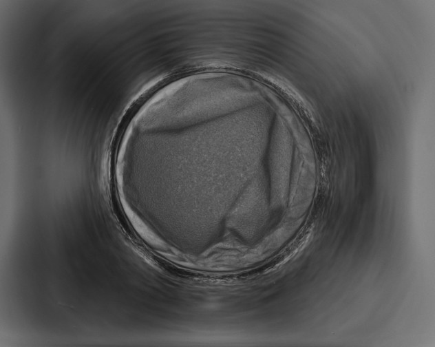X0000086800790200705111834