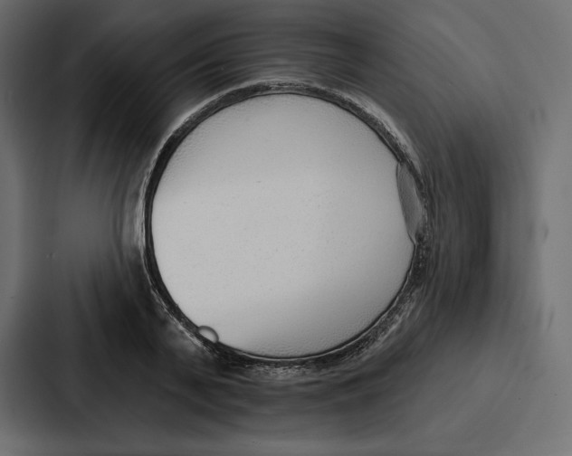 X0000086800791200705111834