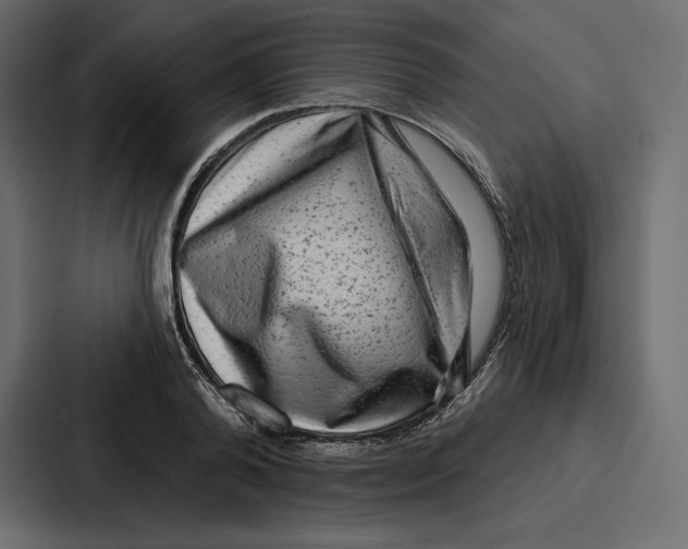 X0000086800792200705111834