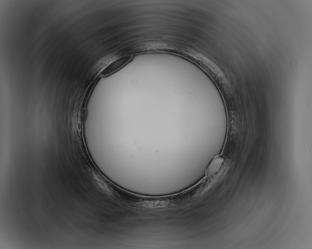 X0000086800793200705111834