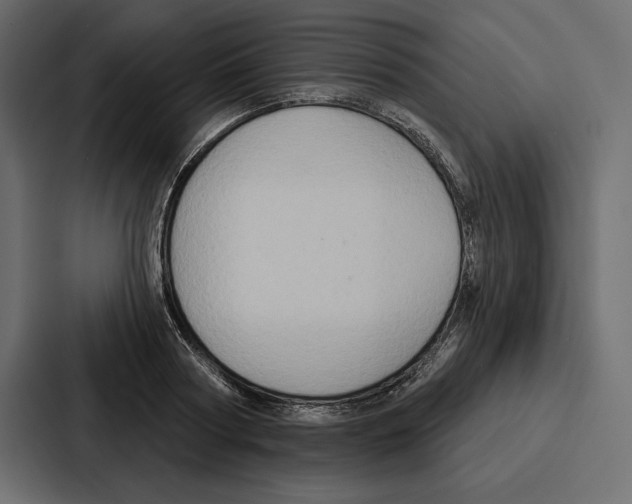 X0000086800794200705111834