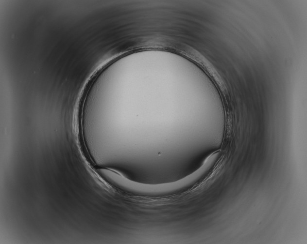 X0000086800795200705111834
