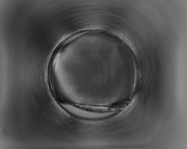 X0000086800797200705111834