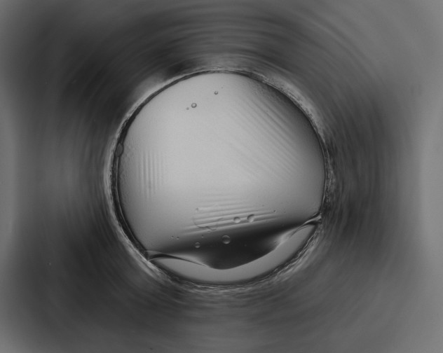 X0000086800803200705111834
