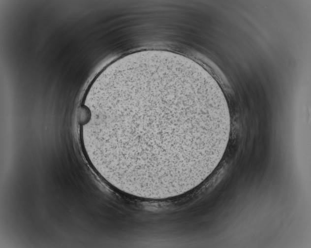 X0000086800804200705111834