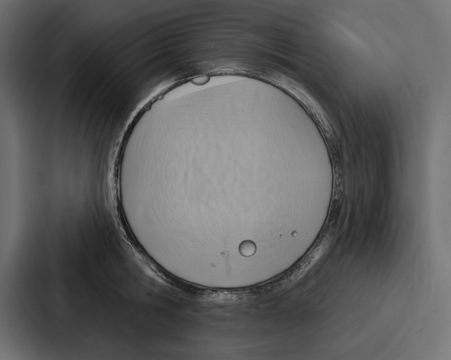 X0000086800806200705111834