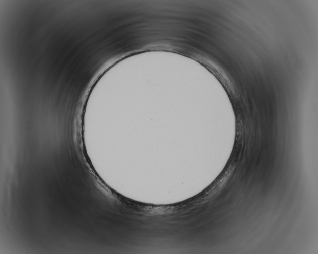 X0000086800808200705111834