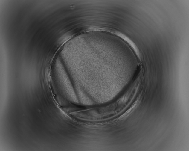 X0000086800809200705111834