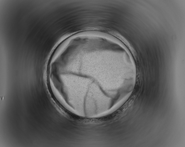X0000086800811200705111834